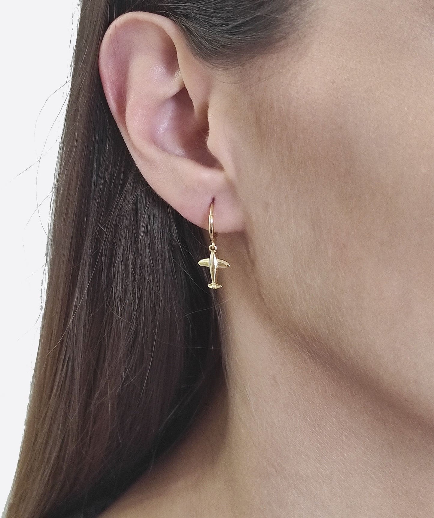 Morning Flight Earrings