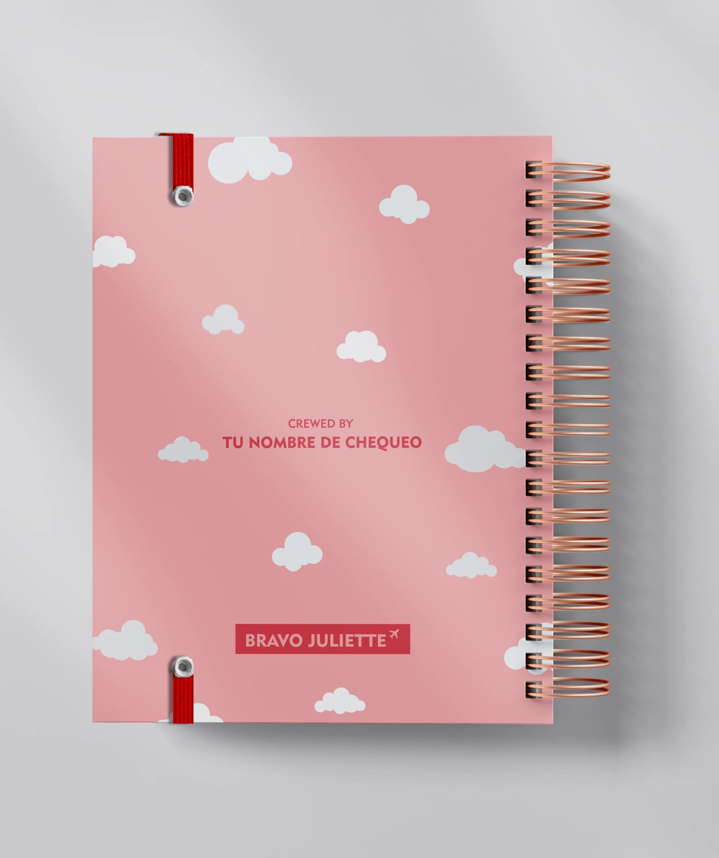 ANE Lady Agenda (Short-Haul)