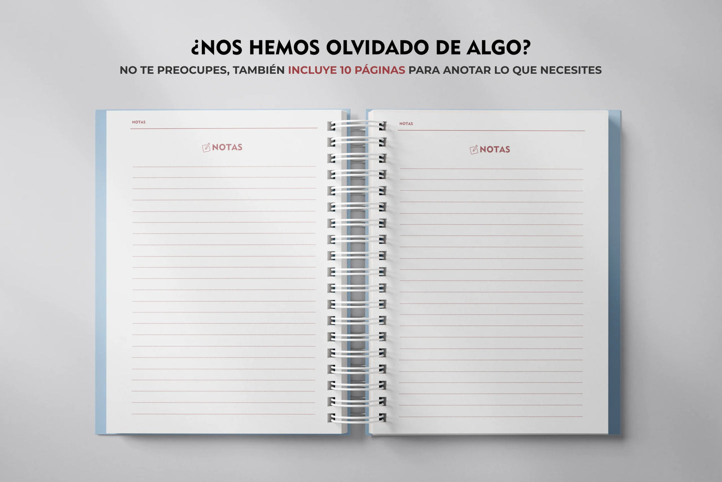 IBE Lady Agenda (Long-Haul)