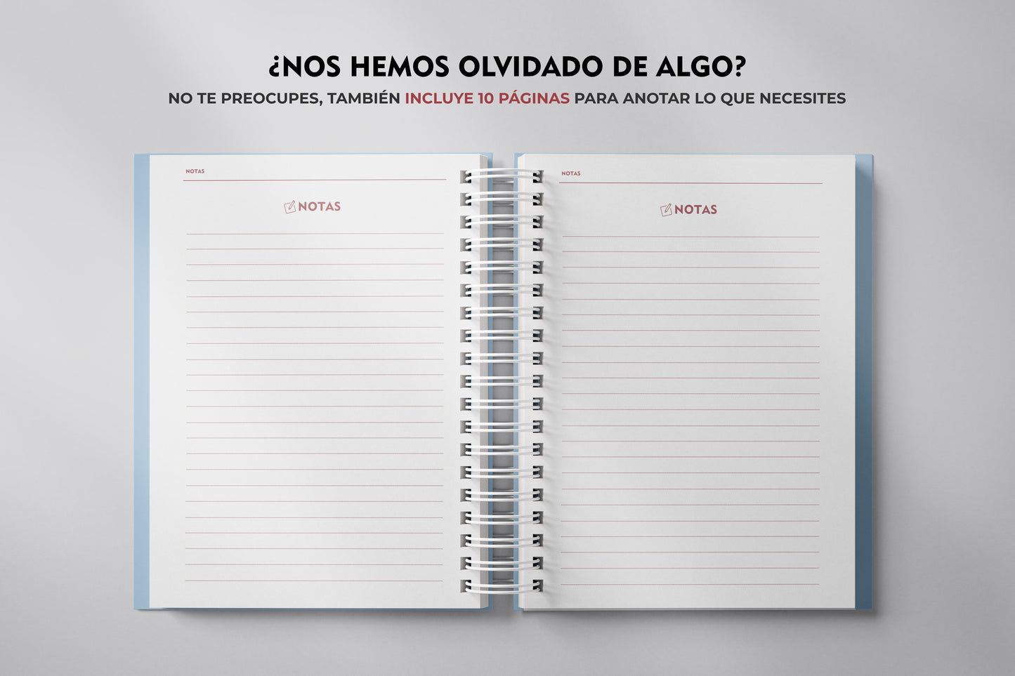 IBE Lady Purser Agenda (Short-Haul)